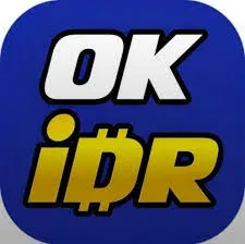IDROK - Tantangan Puzzle Seru untuk Semua Usia